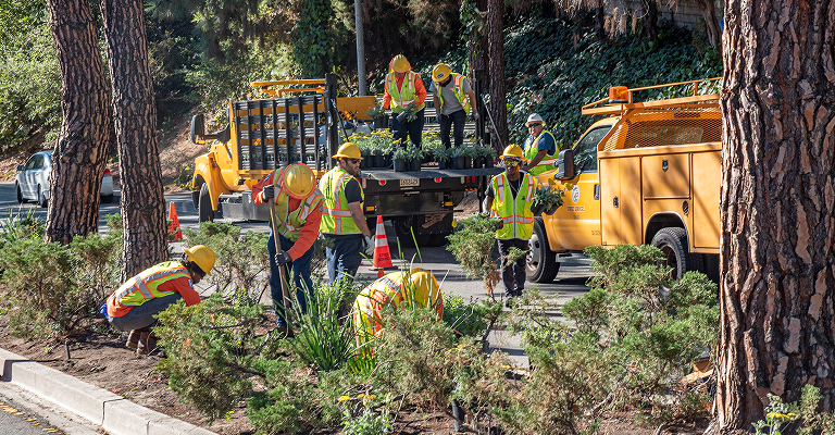 Crew working on biodiversity