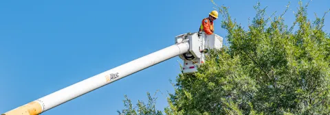 Crew member on tree trimming crane